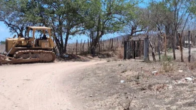 fosa-clandestina-concordia-sinaloa-el-verde-mineros-sin-vigilancia-2026